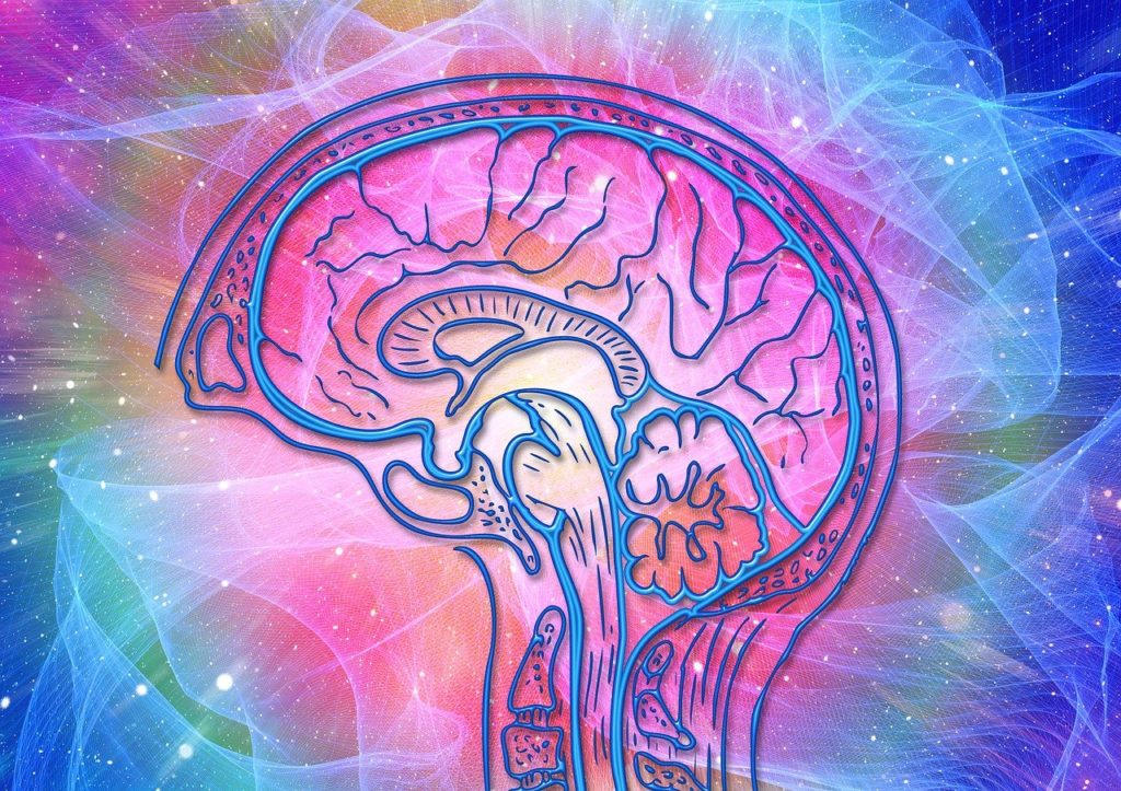 Cervello colorato in un'immagine astratta che simboleggia la comprensione dell'importanza della velocità del sito web