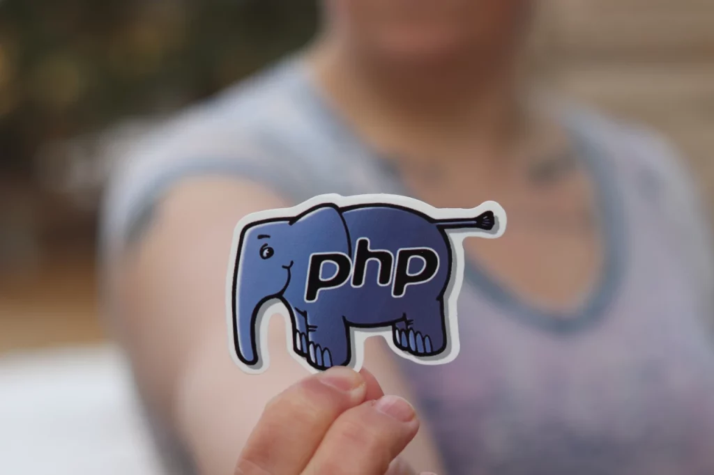 Elefante, mascotte di PHP, tenuto da una persona, indicando l'importanza di ottimizzare con PHP 8.