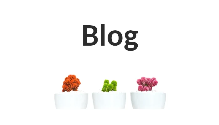Tre piante in crescita con la parola "Blog" sopra, simboleggiano le fasi di sviluppo di un blog.